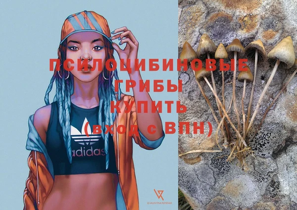 прущие крисы Волосово
