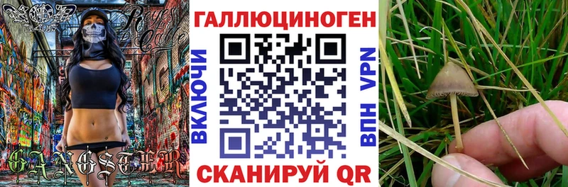 Купить закладки  Дудинка  Галлюциногенные грибы мухоморы 